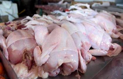 pollo 16418666 20210518225854