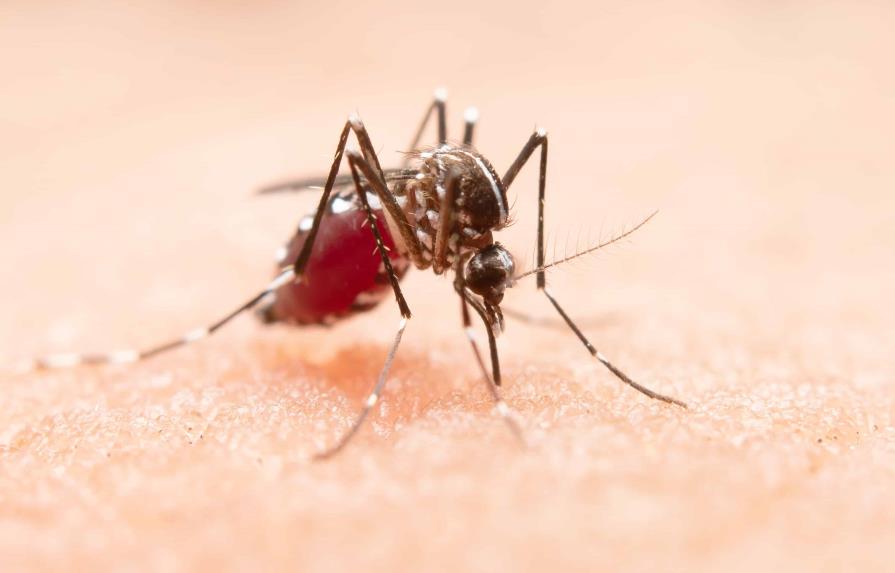 DENGUE1