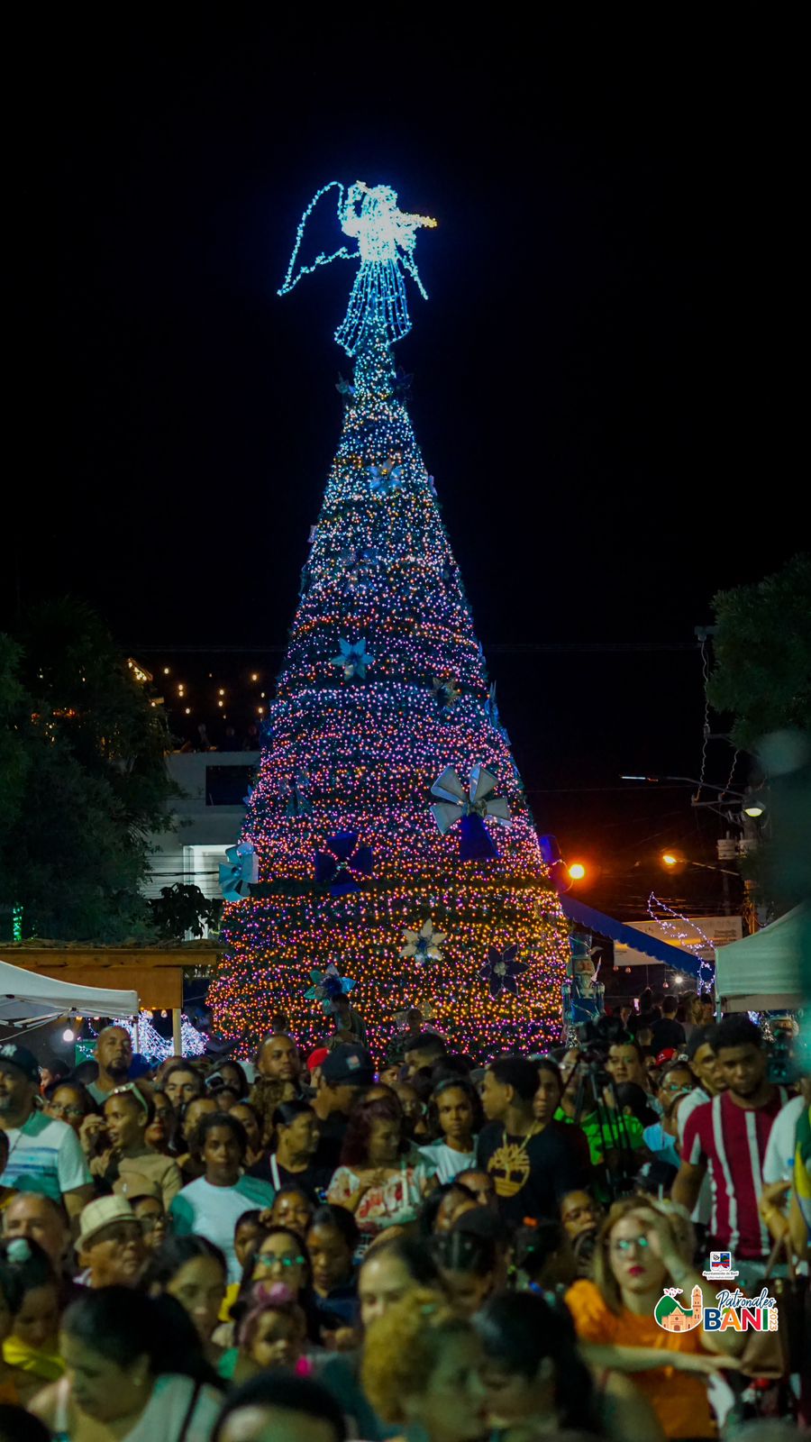 NAVIDAD 20231
